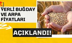 Yerli Buğday ve Arpa Fiyatları Açıklandı