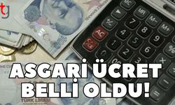 Asgari ücret belli oldu!