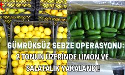 Gümrüksüz Sebze Operasyonu: 2 Tonun Üzerinde Limon ve Salatalık Yakalandı!