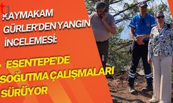 Kaymakam Gürler'den Yangın İncelemesi:  Esentepe'de Soğutma Çalışmaları Sürüyor