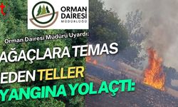 Orman Dairesi Müdürü Uyardı:  Ağaçlara Temas Eden Teller Yangına Yol Açtı: