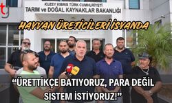 Hayvan Üreticileri İsyanda: “Ürettikçe Batıyoruz, Para Değil  Sistem İstiyoruz!”