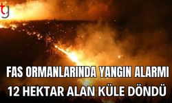 Fas Ormanlarında Yangın Alarmı 12 Hektar Alan Küle Döndü