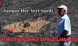 Yangın Her Yeri Sardı, Temizlenen Bahçe Sapasağlam Kaldı