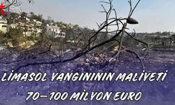 Limasol Yangınının Maliyeti 70–100 Milyon Euro