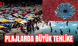 Avrupa'dan sonra Türkiye'de de görüldü
