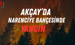 Akçay’da Narenciye Bahçesinde Yangın