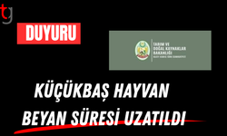 Küçükbaş Hayvan Beyan Süresi Uzatıldı