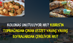 Kıbrıs'ın En Değerli Lezzetlerinden Kolokas
