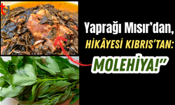 Yaprağı Mısır’dan, Hikâyesi Kıbrıs’tan: Molehiya!"
