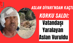 Antalya'da Hayvan Parkından Kaçan Aslan Öldürüldü