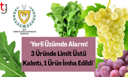 HAFTALIK GIDA DENETİM SONUÇLARI (25 - 31 Temmuz 2025)