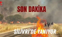 İstanbul Silivri'de ormanlık alanda yangın