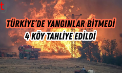 Sakarya ve Bilecik'te orman yangını