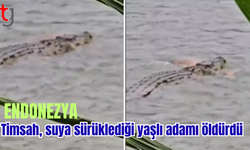 Çevredekilerin kurtarma çabası sonuçsuz kaldı
