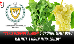 HAFTALIK GIDA DENETİM SONUÇLARI (25 - 31 Temmuz 2025)