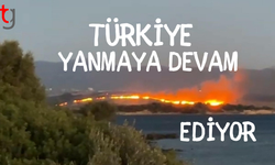 İzmir Urla ve Aliağa'da orman yangınları