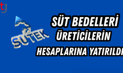 Süt Bedelleri Üreticilerin Hesaplarına Yatırıldı