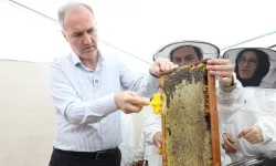 Bursa İnegöl bal üretiminde kalitesiyle dikkat çekti