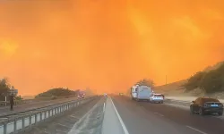 Bursa Yenişehir'de orman yangınına yoğun müdahale