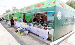 Kayseri Talas'ta kışa hazırlık günleri başlıyor