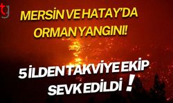 Mersin ve Hatay’da  Orman Yangını! 5 İlden Takviye Ekip Sevk Edildi!