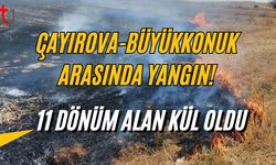 Çayırova-Büyükkonuk Arasında Yangın: 11 Dönüm Alan Kül Oldu