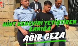 Hint Keneviri Yetiştiren Sanığa Ağır Ceza