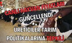 Canlı Hayvan Fiyatları Güncellendi: Üreticiler Tarım Politikalarına Tepkili