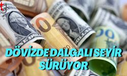 Dövizde Dalgalı Seyir Sürüyor