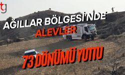 Ağıllar Bölgesi’nde Alevler 73 Dönümü Yuttu