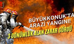 Büyükkonuk’ta Arazi Yangını: 3 Dönümlük Alan Zarar Gördü