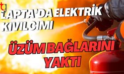 Lapta’da Elektrik Kıvılcımı Üzüm Bağlarını Yaktı