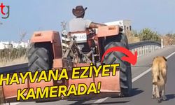 Hayvana Eziyet Kamerada!