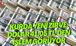 Kurda Yeni Zirve: Dolar 41,05 TL’den İşlem Görüyor