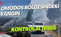 Omodos Bölgesindeki Yangın Kontrol Altında