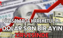Piyasalarda Hareketlilik: Dolar Son Bir Ayın Zirvesinde