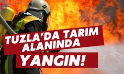 Tuzla’da Tarım Alanında Yangın!