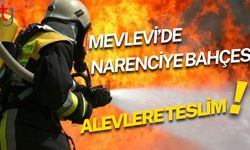Mevlevi’de Narenciye Bahçesi Alevlere Teslim