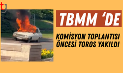 TBMM'de 'beyaz toros' yakılmasıyla ilgili soruşturma başladı