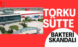 Türkiye'nin süt devinde bakteri skandalı