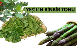 Kıbrıs’ın Doğasından Sofralara: Yenilebilir Otlar