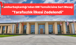 Cumhurbaşkanlığı’ndan Colin Stewart’a Eleştiri