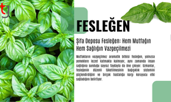 Şifa Deposu Fesleğen: Hem Mutfağın Hem Sağlığın Vazgeçilmezi