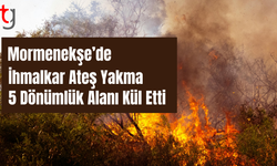 Mormenekşe’de İzin­siz Anız Yakma Yangına Neden Oldu