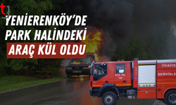 Yenierenköy’de Park Halindeki Araç Alevlere Teslim Oldu