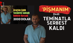 Taşkınköy’de Araçtan 3 Bin Dolar Çalan Zanlı Mahkemede