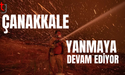 Çanakkale'de alevlerle mücadele sürüyor
