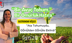 Nerede O Eski Tohumlar, Nerede O Paylaşmak?