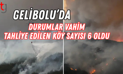 Çanakkale yanıyor! Tarihi Alan kapatıldı